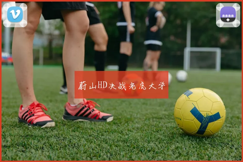 蔚山HD决战老虎大学