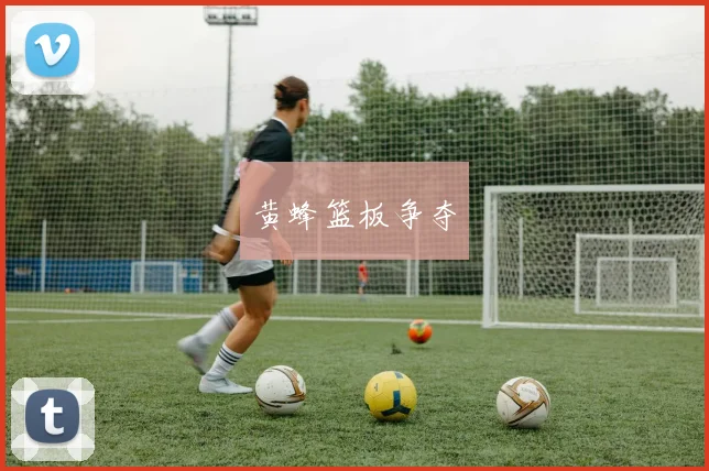 黄蜂篮板争夺