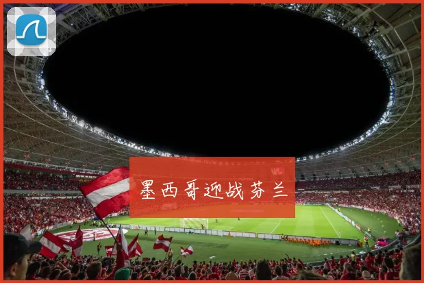 墨西哥迎战芬兰