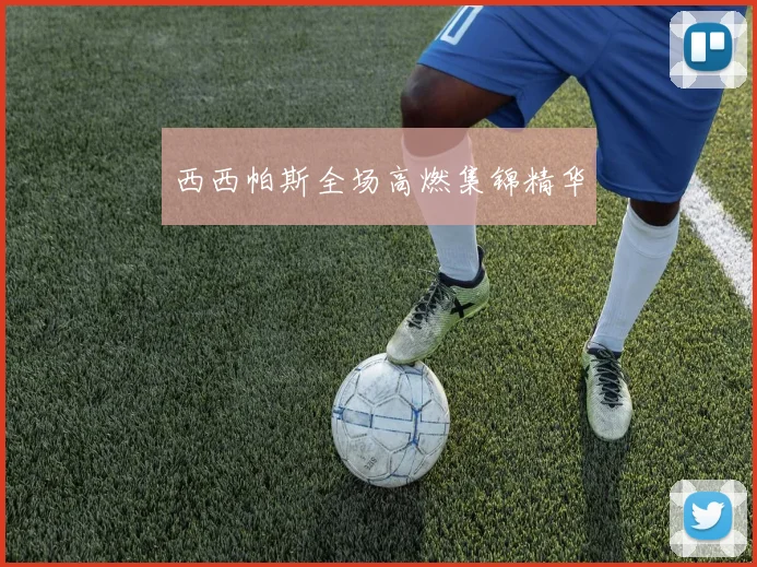 西西帕斯全场高燃集锦精华