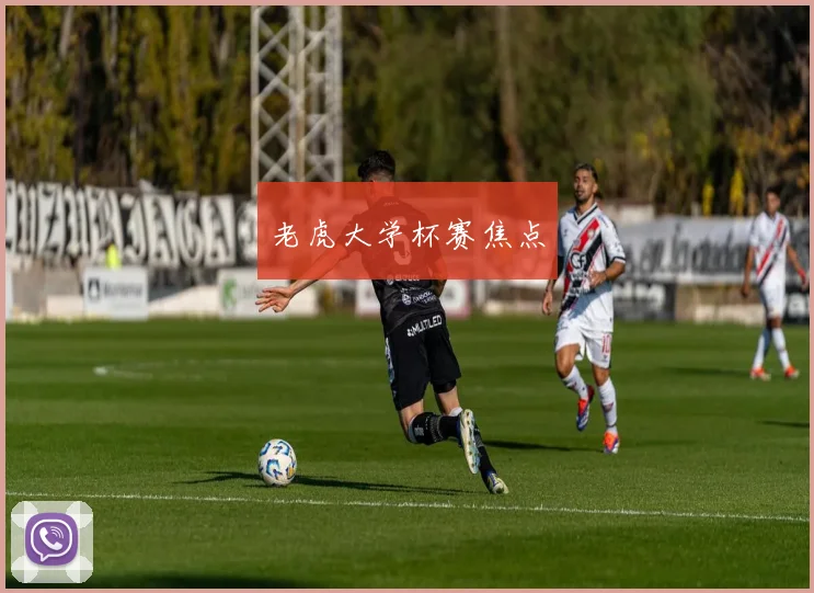 老虎大学杯赛焦点