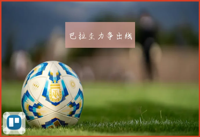 巴拉圭力争出线