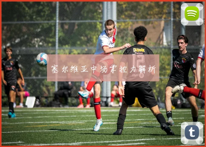 塞尔维亚中场掌控力解析