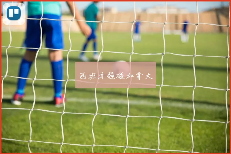 西班牙强碰加拿大