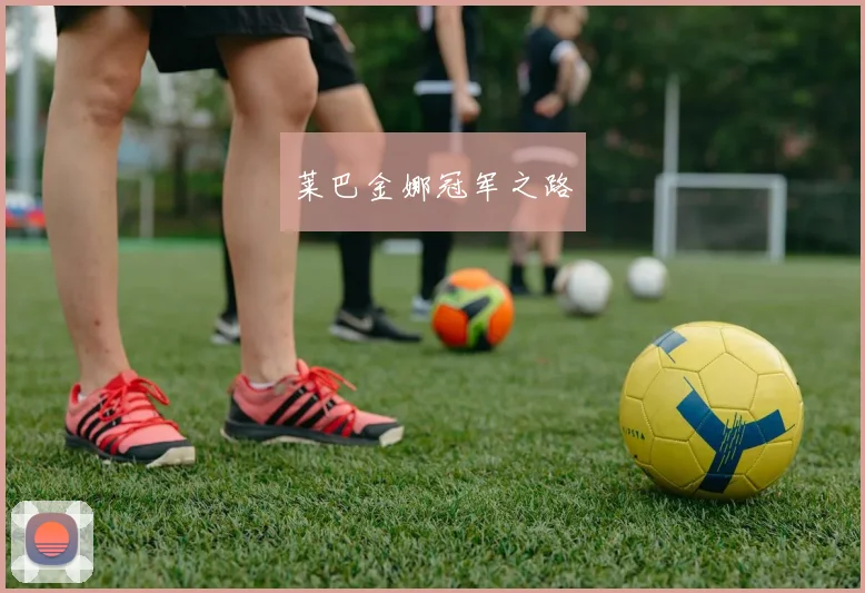 莱巴金娜冠军之路