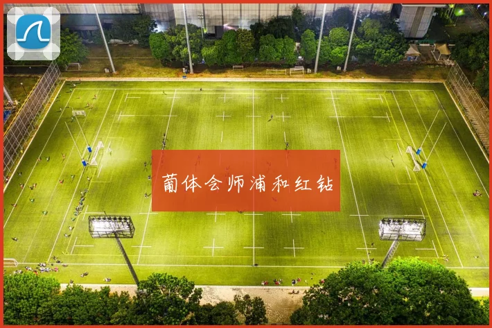 葡体会师浦和红钻
