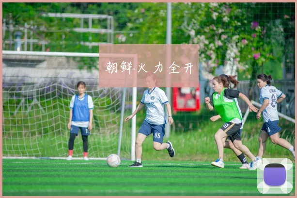 朝鲜火力全开