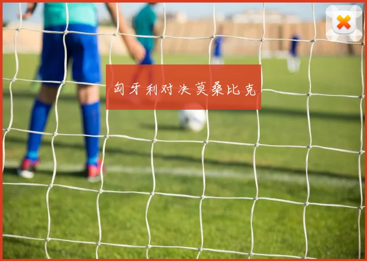 匈牙利对决莫桑比克