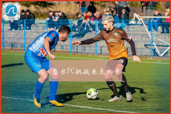 首尔FC挑战老虎大学