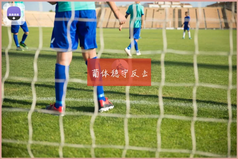葡体稳守反击