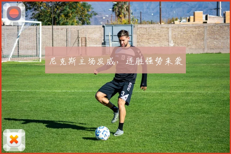 尼克斯主场发威，连胜强势来袭