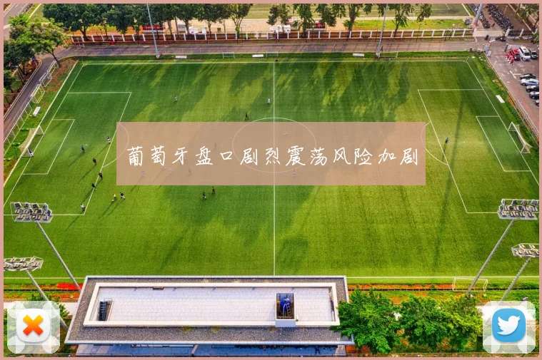 葡萄牙盘口剧烈震荡风险加剧