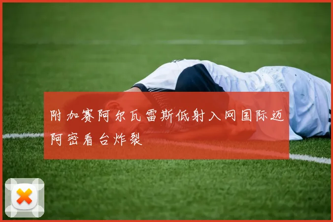 附加赛阿尔瓦雷斯低射入网国际迈阿密看台炸裂