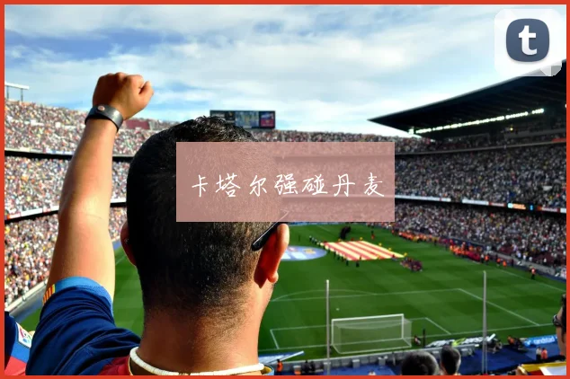 卡塔尔强碰丹麦