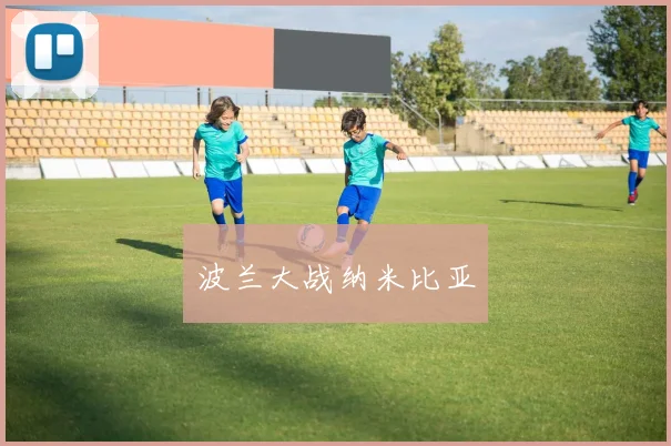 波兰大战纳米比亚