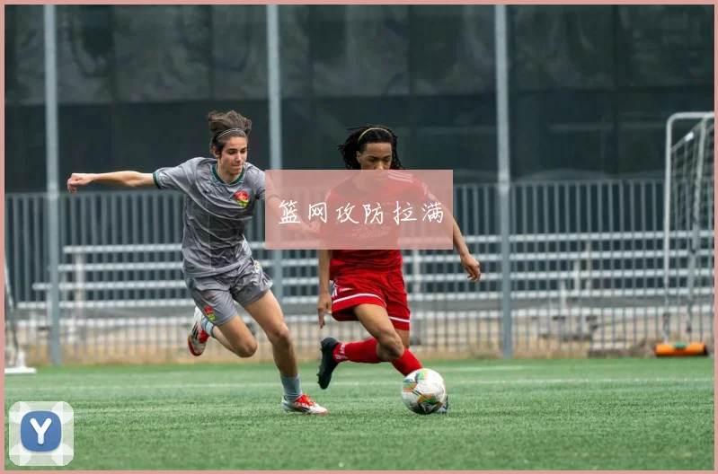 篮网攻防拉满