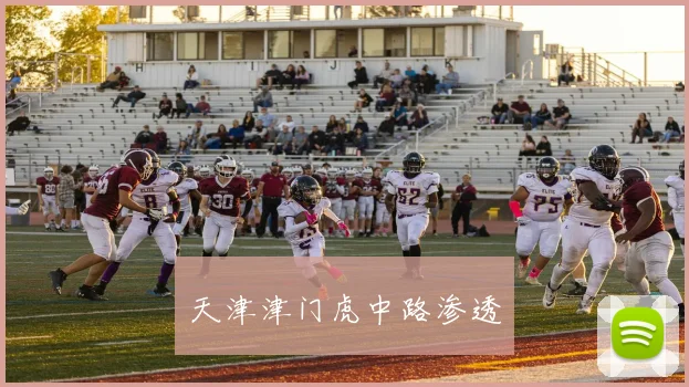 天津津门虎中路渗透