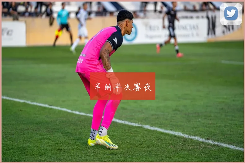 辛纳半决赛夜