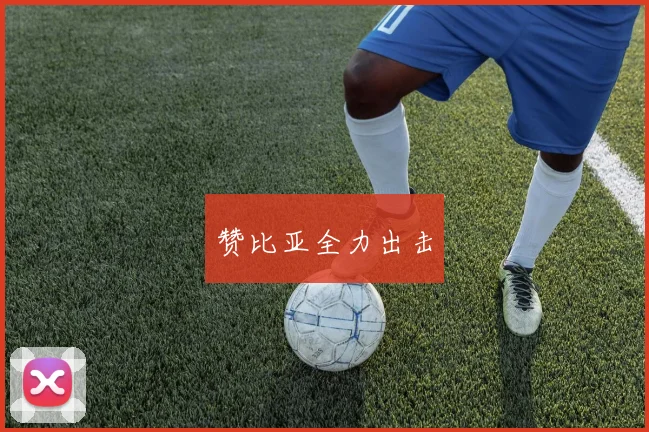 赞比亚全力出击
