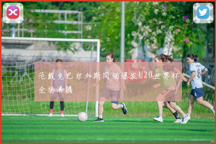 范戴克巴尔加斯同场爆发U20世界杯全场沸腾