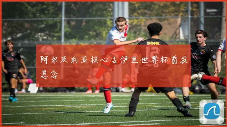 阿尔及利亚核心古伊里世界杯首发悬念
