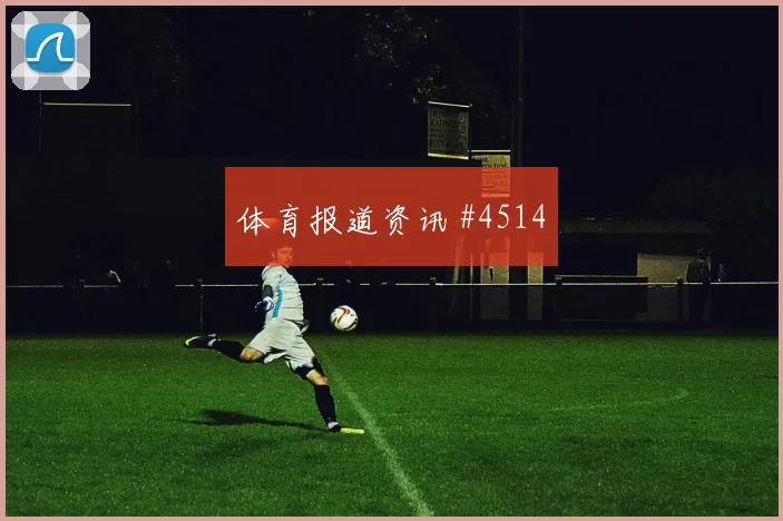 帕尔默2026世界杯队内作用解析
