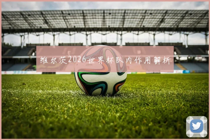 维尔茨2026世界杯队内作用解析