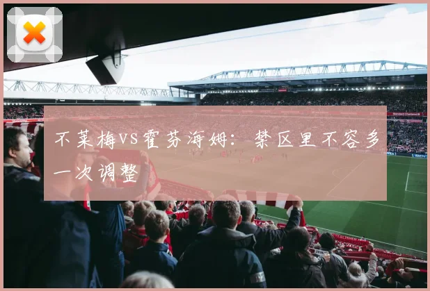 不莱梅vs霍芬海姆:禁区里不容多一次调整