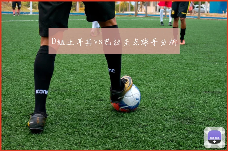 D组土耳其vs巴拉圭点球手分析